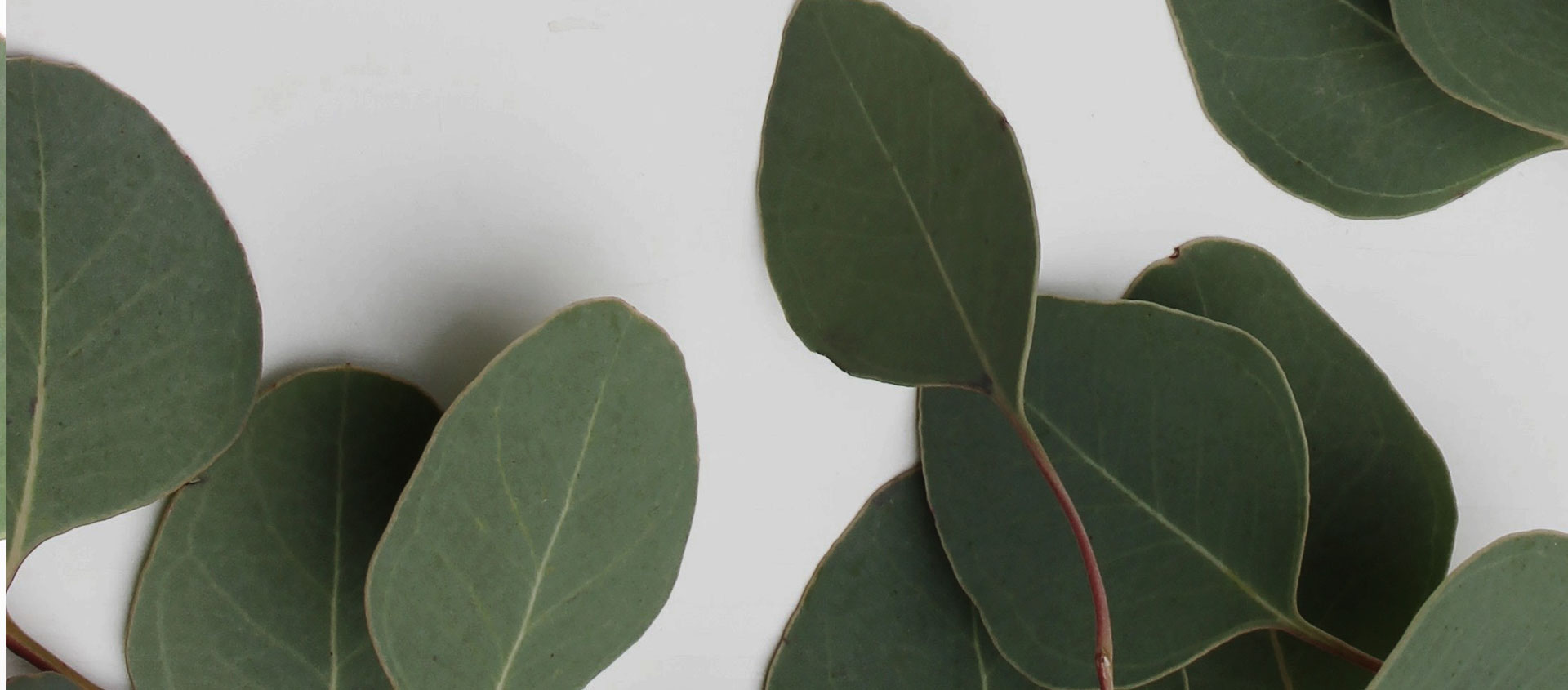 Взыскание ущерба от экологических правонарушений в Мге