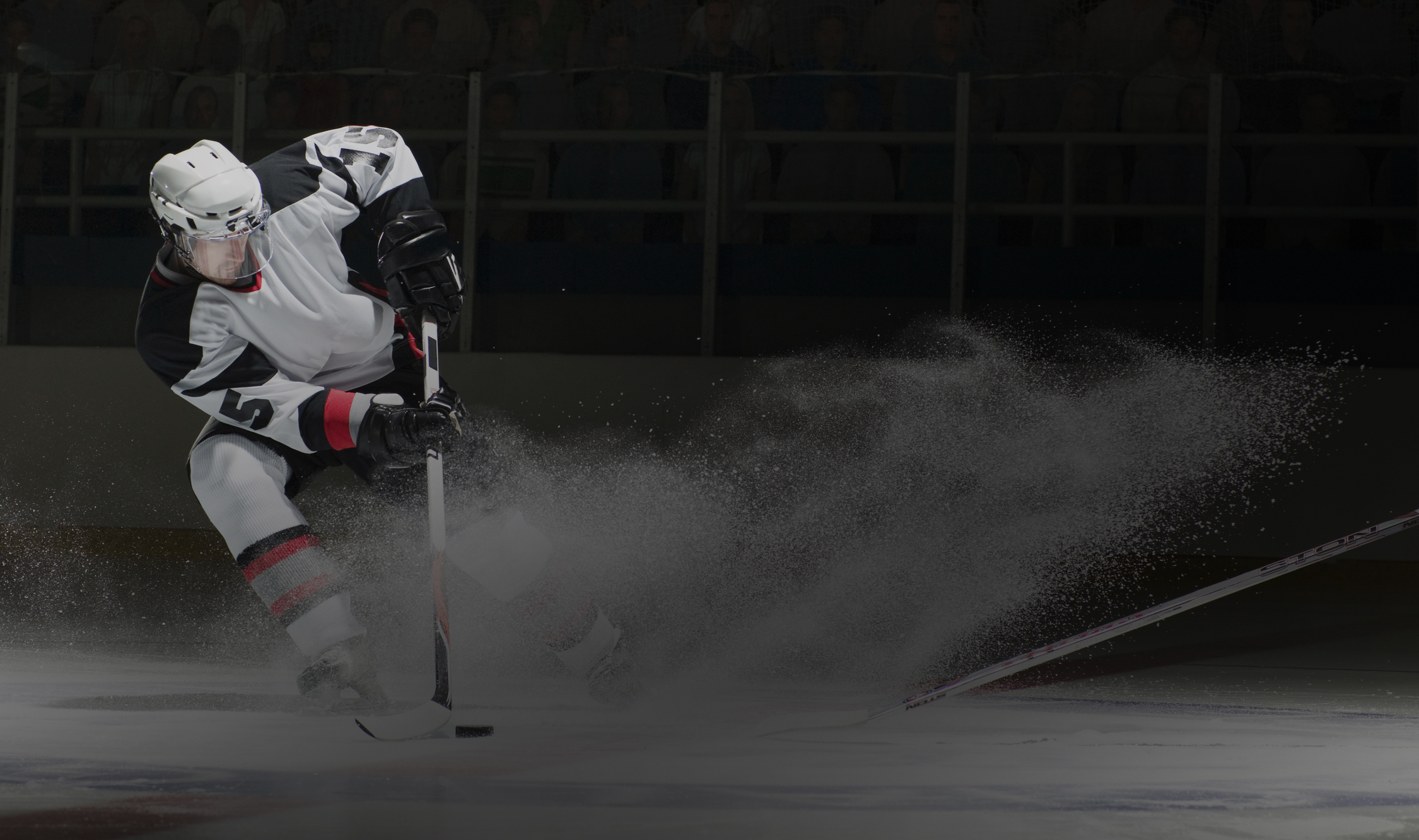 Услуги спортивного юриста в Мге