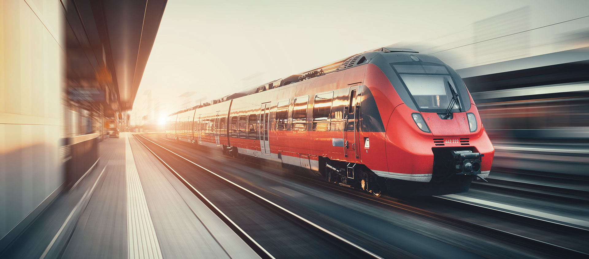 Услуги таможенного юриста в Мге